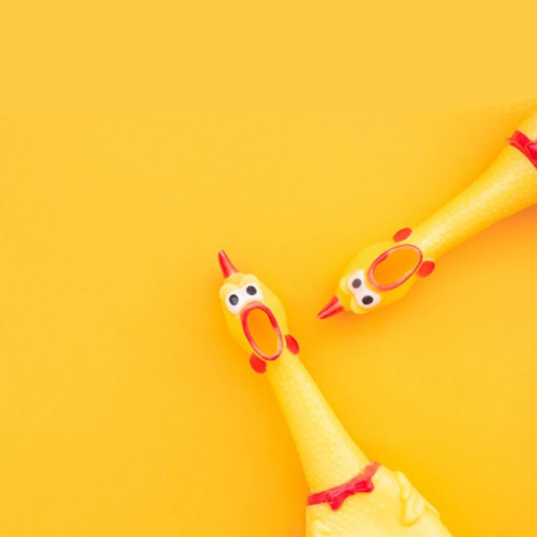 Hot Sell Screaming Chicken Hot Sell Screaming Chicken Toys