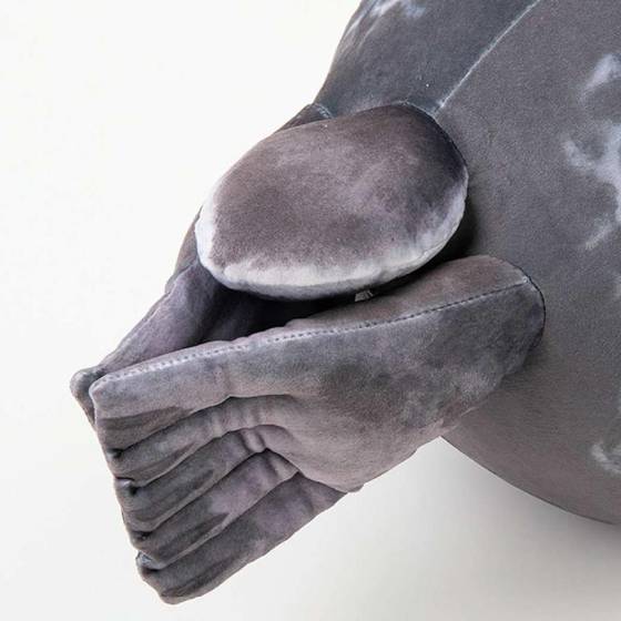 5574-c395d1ac704fcec35dd31d77f26b5804 (4)