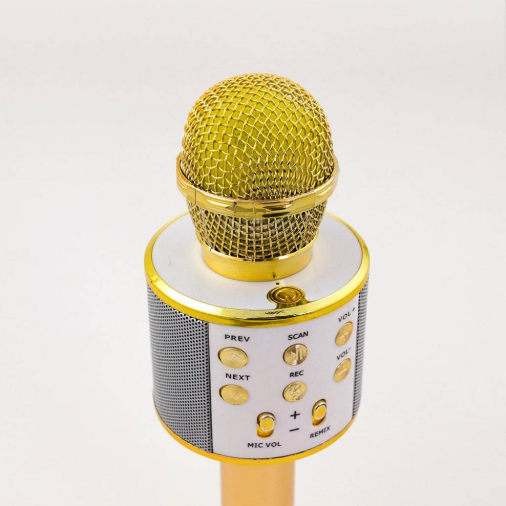 Wireless Karaoke Microphone Wireless Karaoke Microphone Consumer Electronics