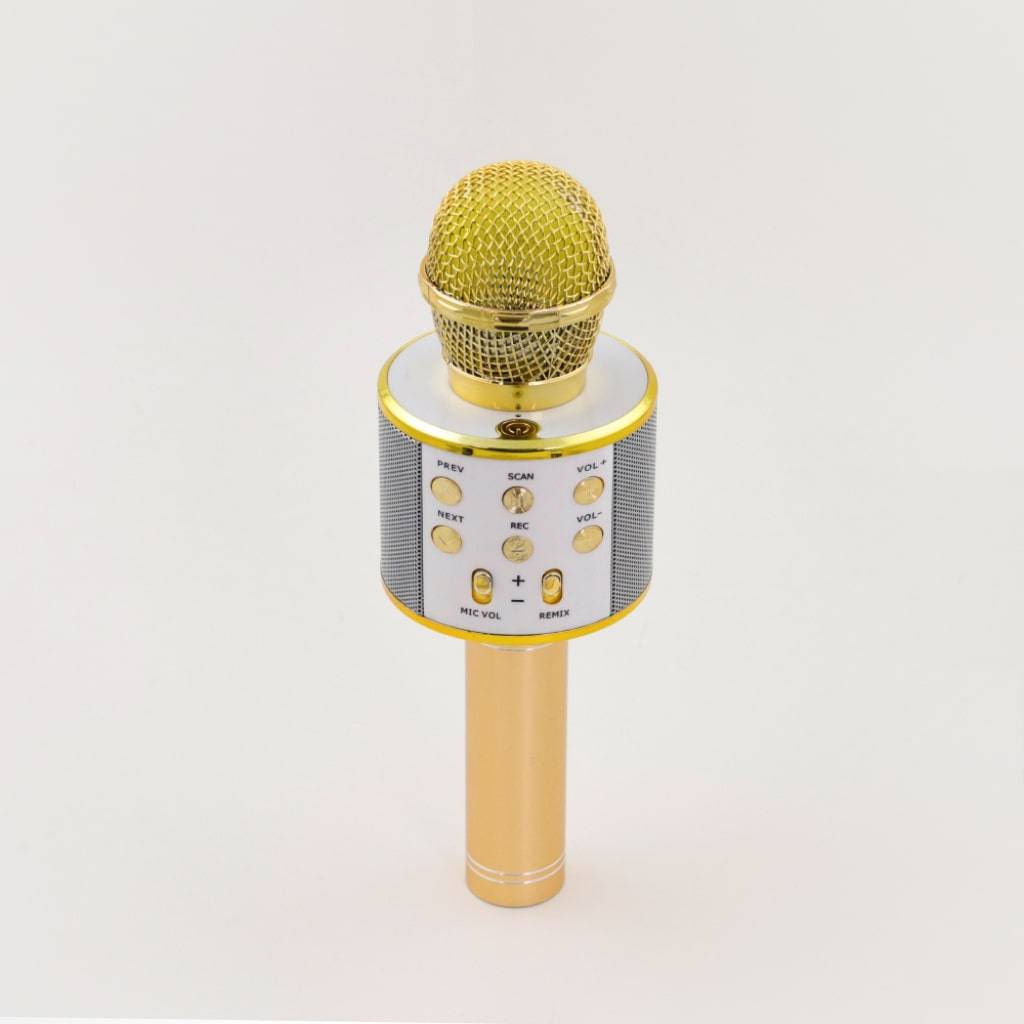 Wireless Karaoke Microphone Wireless Karaoke Microphone Consumer Electronics