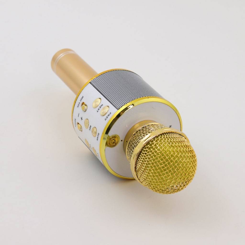 Wireless Karaoke Microphone Wireless Karaoke Microphone Consumer Electronics