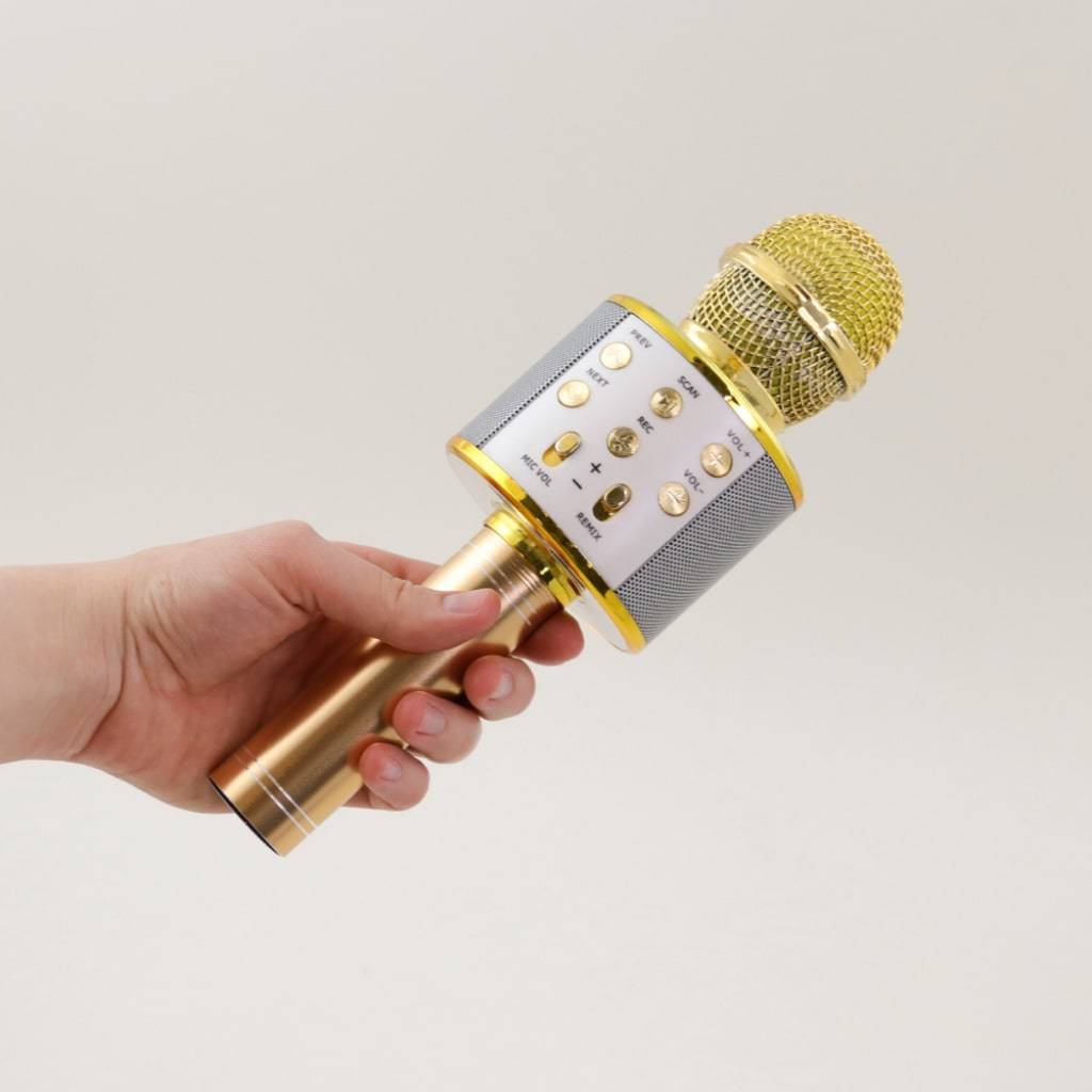 Wireless Karaoke Microphone Wireless Karaoke Microphone Consumer Electronics