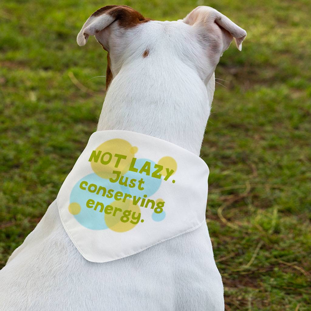 I Am Not Lazy Pet Bandana Collar – Quote Scarf Collar – Themed Dog Bandana I Am Not Lazy Pet Bandana Collar - Quote Scarf Collar - Themed Dog Bandana