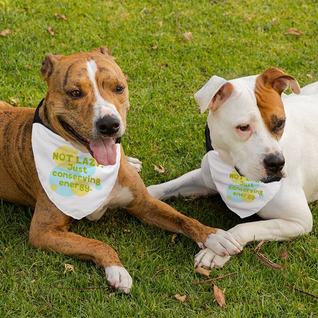 I Am Not Lazy Pet Bandana Collar – Quote Scarf Collar – Themed Dog Bandana I Am Not Lazy Pet Bandana Collar - Quote Scarf Collar - Themed Dog Bandana