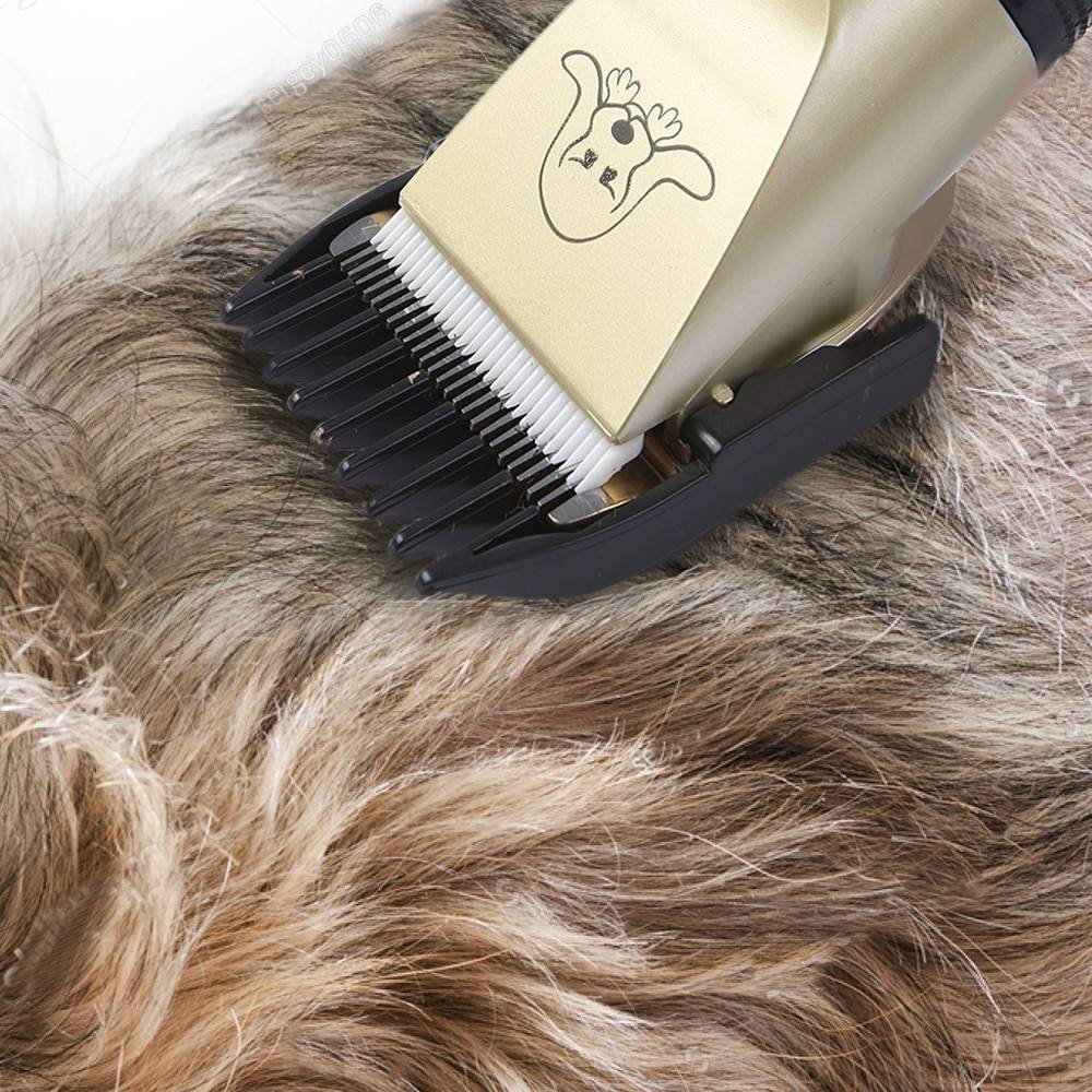 Pet Grooming Tool Pet Grooming Tool
